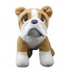  Buddy le Bulldog  40 cm personnalisé