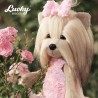 Lucky Doggy plush 40 cm – Pink rosette dress with tulle skirt – Lucky Yoyo Mélange de Roses