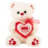 Teddybeer met een ik hou van je hart