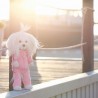 Lucky Doggy Clothing Set: Strawberry Fitness