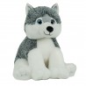 le Husky peluche de 40 cm