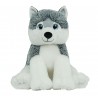 le Husky peluche de 40 cm