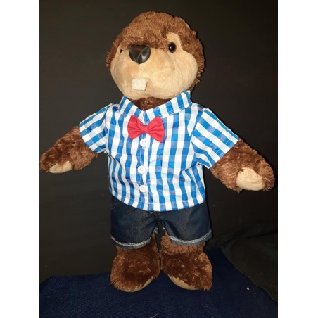 Blue Check Shirt with Bow Tie