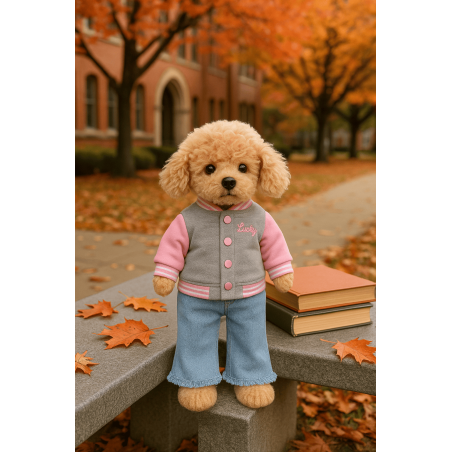 Plüschhund mit rosa Collegejacke und Jeans