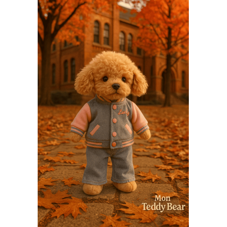 Plüschhund mit rosa Collegejacke und Jeans