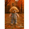 Lucky Fendi : Lucky Doggy – Look Campus Cool