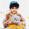 Plush toy, Milo&Millie, Milo the Grey Cat  (35cm)