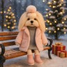 Winterkleding voor Lucky Doggy knuffel – Roze jas, grijze jurk, roze laarsjes, haarband