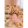 Lucky Doggy – Romantic Evening Kledingset – Roze Tulejurk met Gouden Sterren en Bijpassende Strik