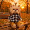 Lucky Doggy peluche garçon 40 cm – Chemise à carreaux et pantalon camel – Lucky Andy: Stylish Boy