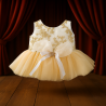 tutu-dress-gold-plush-Y173.png