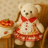 tenue-fruitee-peluche-collection-retro-fraise-picnic-y098.png