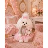 Ensemble peluche Lucky Doggy – Cœur rose : pull, robe tutu, nœud