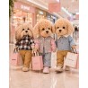 Kleurboek en stickers Lucky Doggy Urban Teddy LD6/125