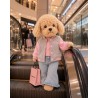 Kleurboek en stickers Lucky Doggy Urban Teddy LD6/125