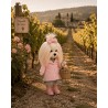 Lucky Doggy Lucky Yoyo: Lavendel Abend – Ref. LD5/100