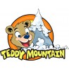 TEDDY MOUNTAIN